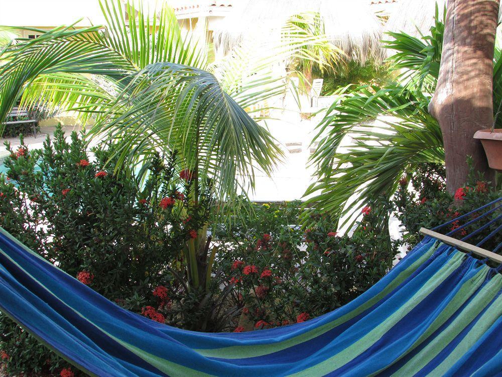 Aruba Tropic Apartments Noord Bagian luar foto